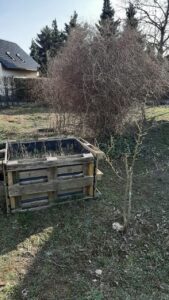 Foto Hochbeet im Kiekemaler Schulgarten